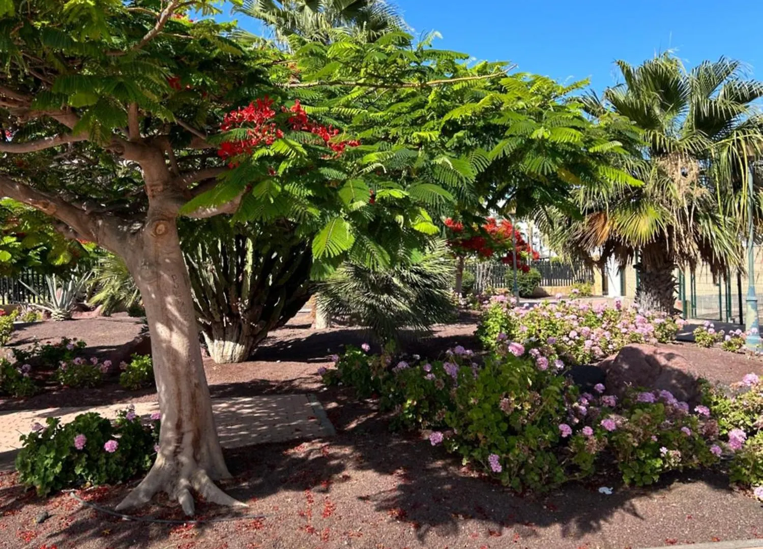 Appartement Honey Bunch à Caleta de Fuste